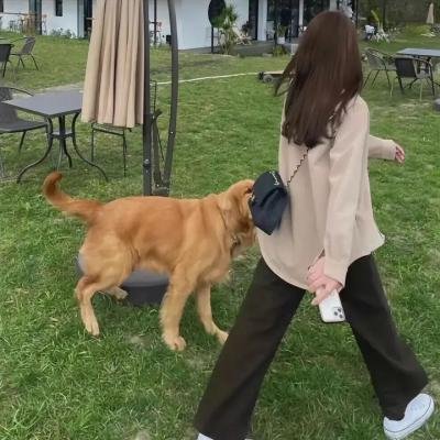 无形的枷锁